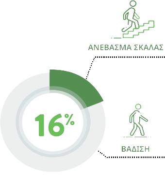 16%